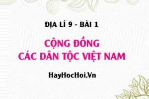 Việt Nam có bao nhiêu dân tộc, tình hình phân bố các dân tộc ở nước ta - Địa lí 9 bài 1